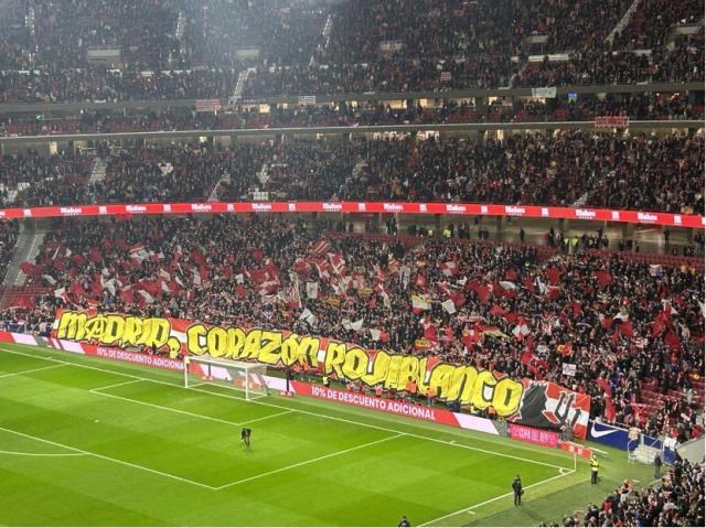 1705631831736071245.jpg 1705631040132.jpg